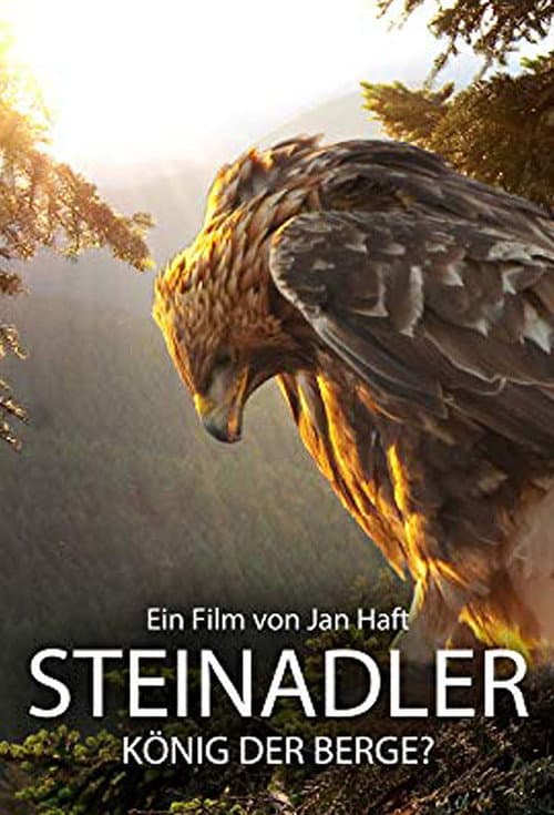 Steinadler - König der Berge (2014) poster