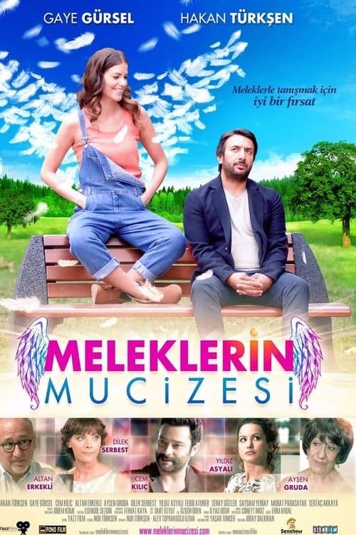 Meleklerin Mucizesi (2014) poster