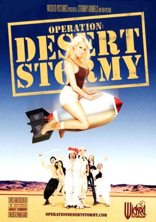 Operation: Desert Stormy (2007) poster