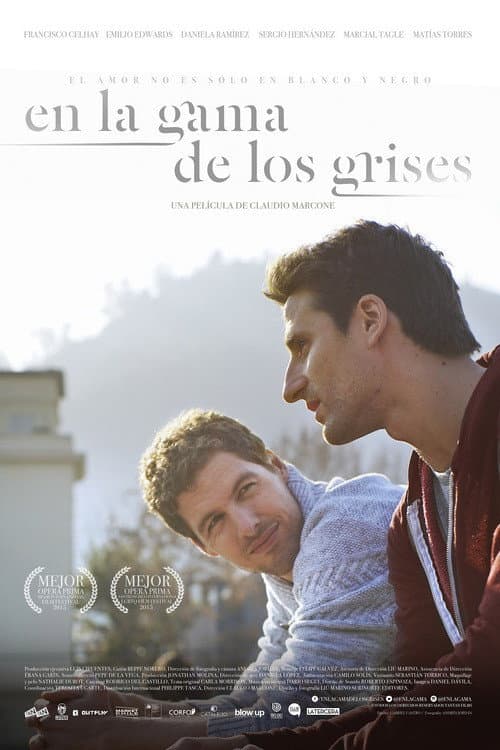 En la gama de los grises (2015) poster