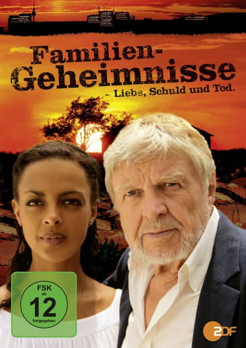 Familiengeheimnisse - Liebe, Schuld und Tod (2011) poster