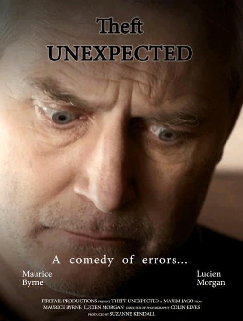 Theft Unexpected (2013) poster
