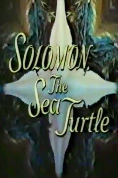 Solomon, the Sea Turtle (1969) poster