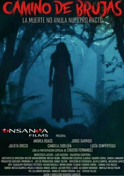 Camino de Brujas (2026) poster