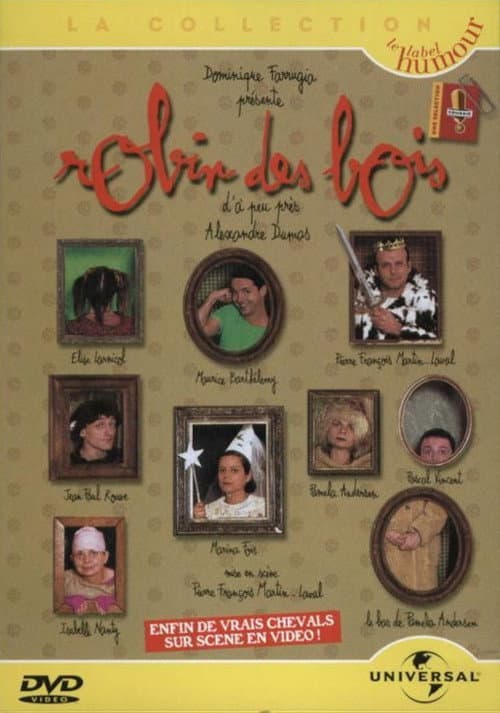 Robin des Bois d'à peu près Alexandre Dumas (1996) poster