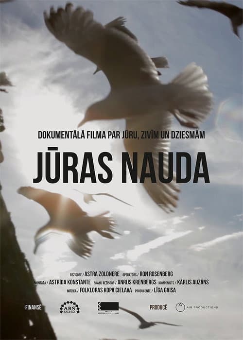 Jūras nauda (2013) poster
