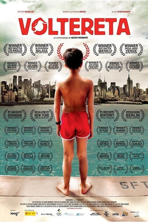 Voltereta (2010) poster