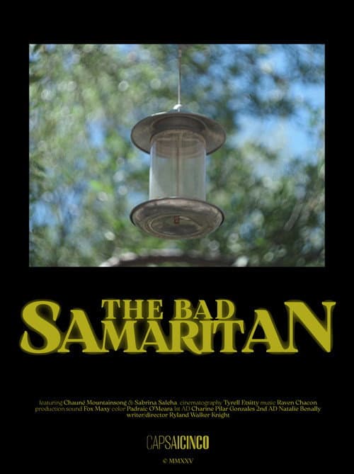 The Bad Samaritan (2026) poster