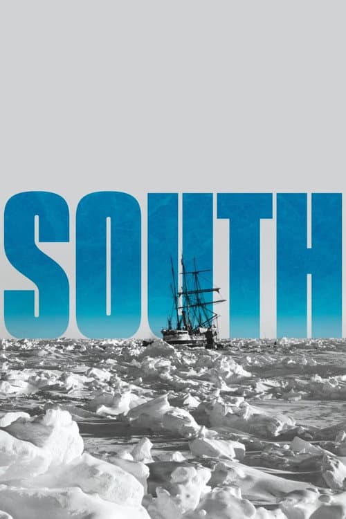 South (1919) poster