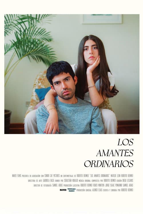 Los Amantes Ordinarios (2024) poster