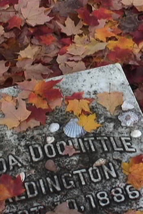 H.D. (2005) poster