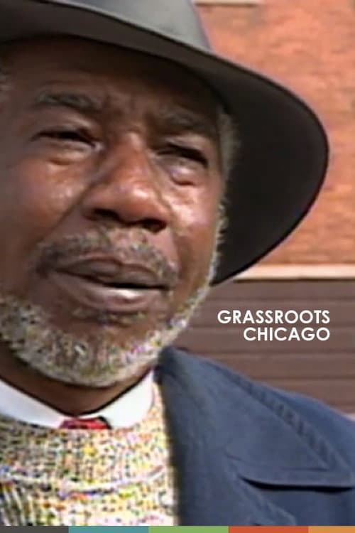 Grassroots Chicago (1991) poster