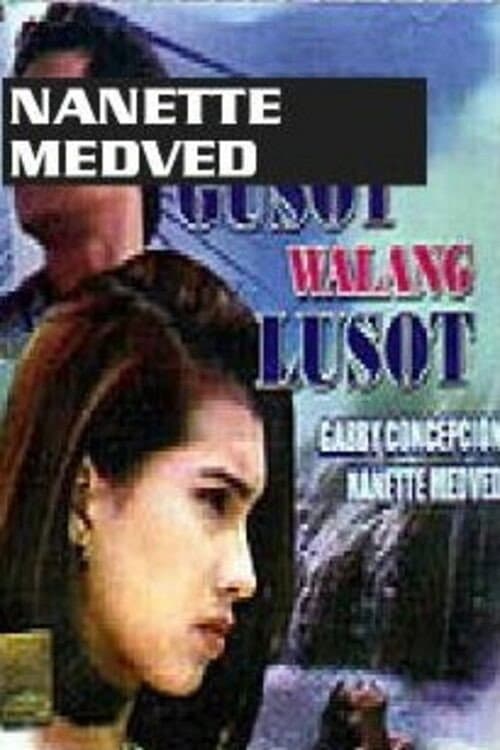 Kapag May Gusot... Walang Lusot (1993) poster