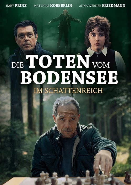 Im Schattenreich (2026) poster