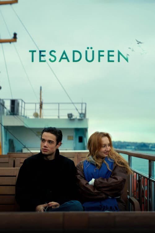 Tesadüfen (2026) poster