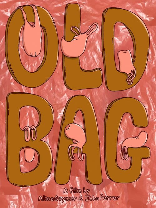 Old Bag (2026) poster