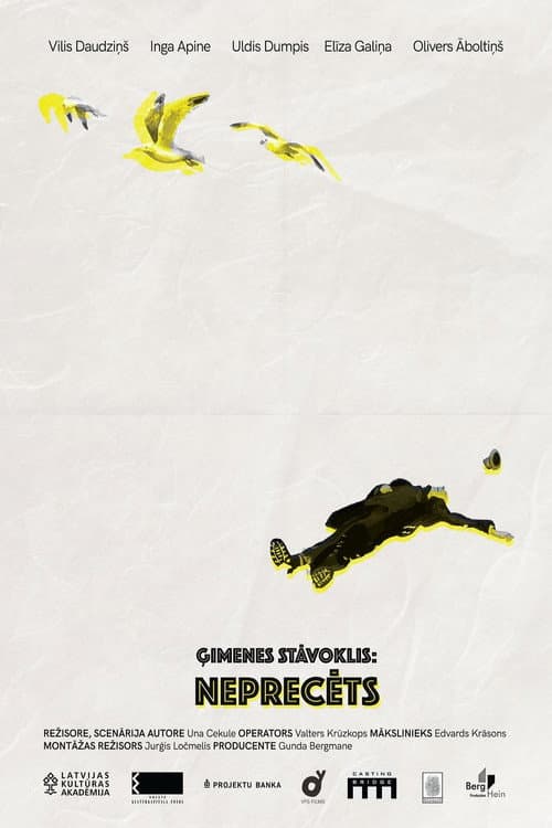 Ģimenes stāvoklis: neprecēts (2019) poster