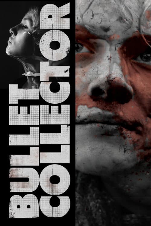 Собиратель пуль (2012) poster
