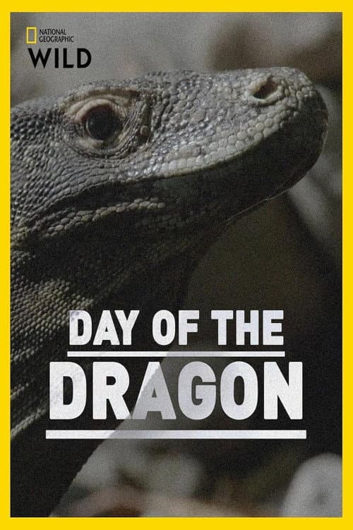 Day of the Dragon (2024) poster