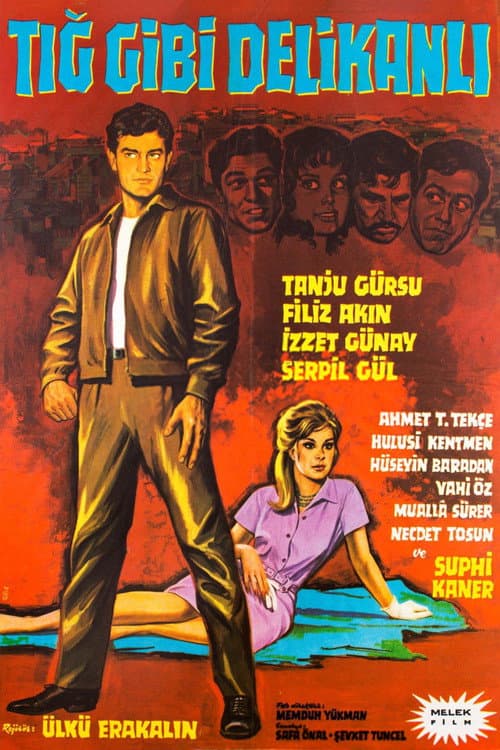 Tığ Gibi Delikanlı (1964) poster