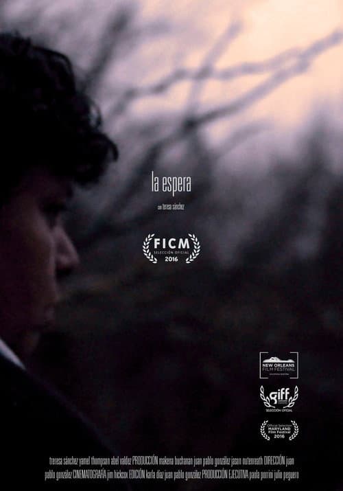 La espera (The Wait) (2016) poster