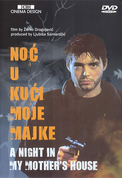 Noć u kući moje majke (1991) poster