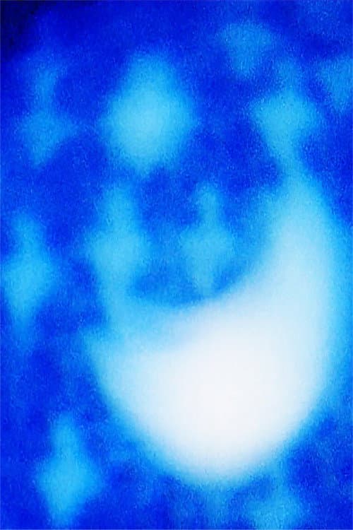 #008 (2023) poster