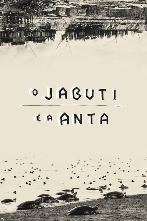 O Jabuti e a Anta (2016) poster