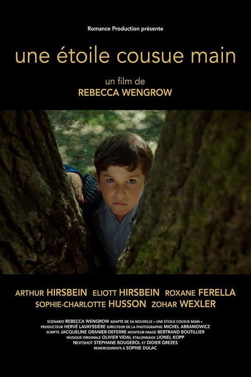 Une étoile cousue main (2018) poster