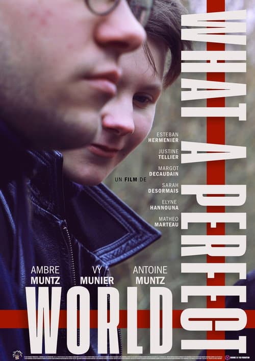 What a Perfect World (2026) poster