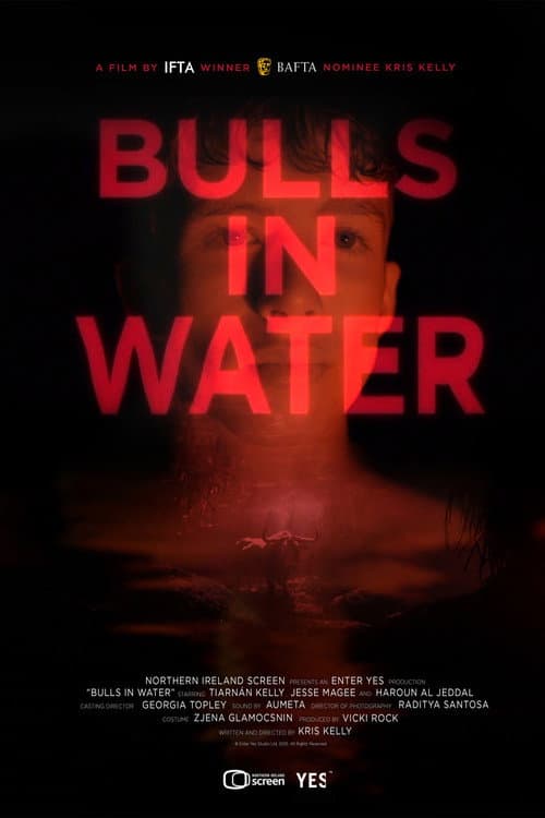 Bulls in Water (2025) poster