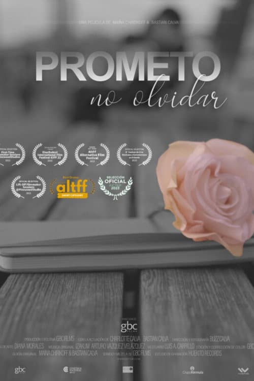 Prometo No Olvidar (2022) poster
