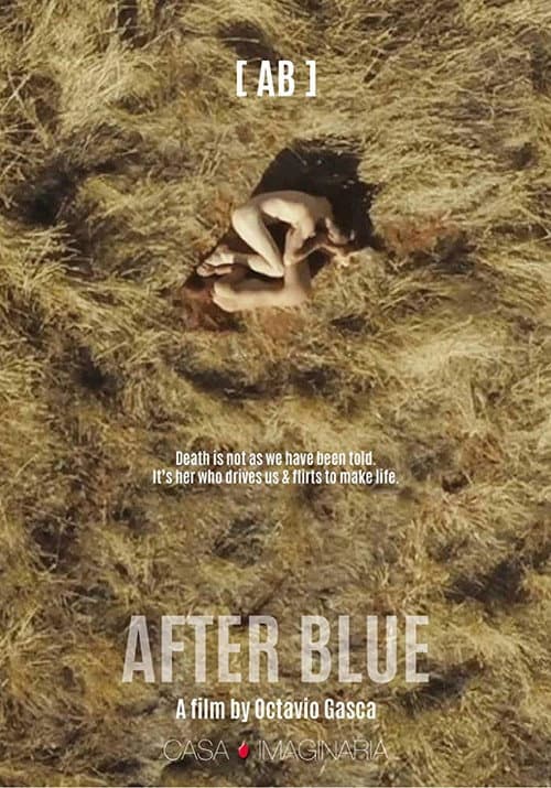 Después del azul (2017) poster