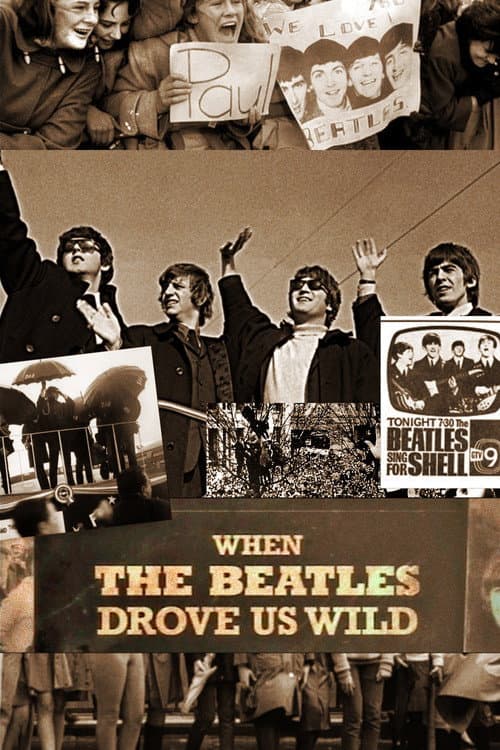 When the Beatles Drove Us Wild (2014) poster