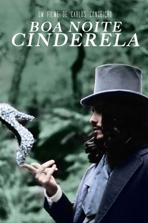 Boa Noite Cinderela (2014) poster