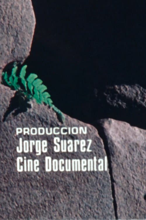Flora de Machu Picchu (1980) poster