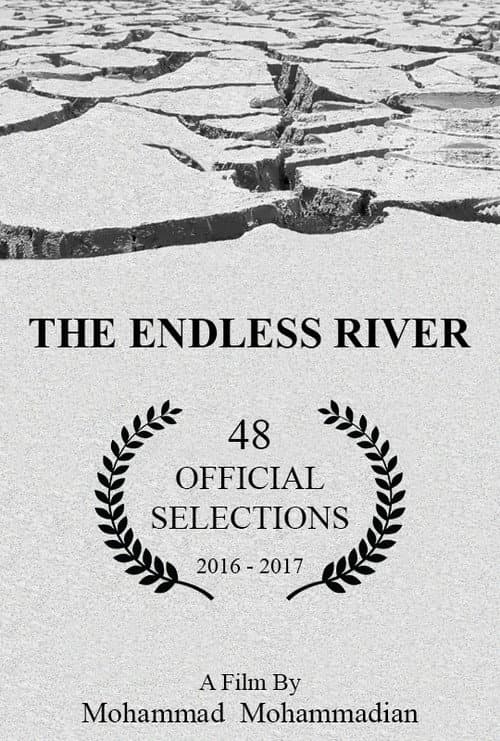 The Endless River (2016) poster