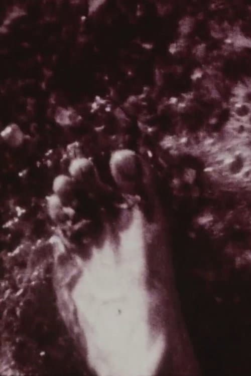 Footprints (1992) poster
