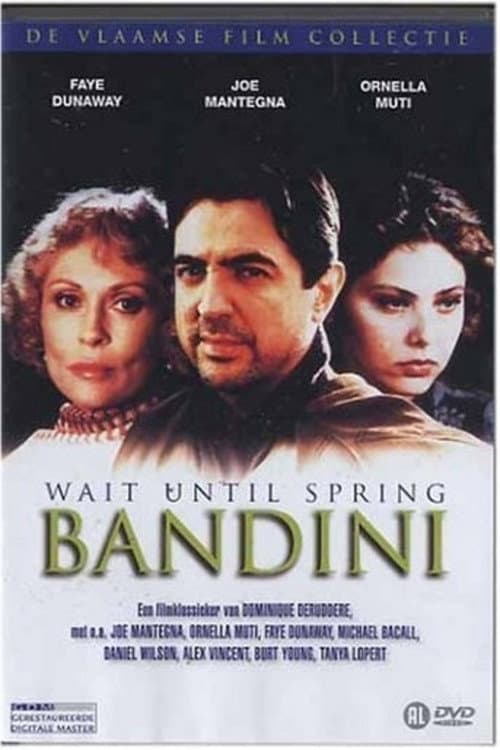 Wait Until Spring, Bandini (1989) poster