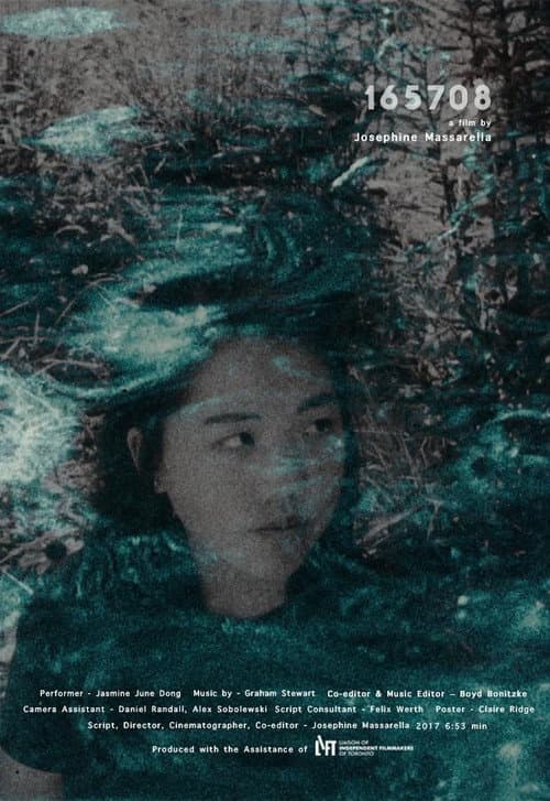 165708 (2017) poster