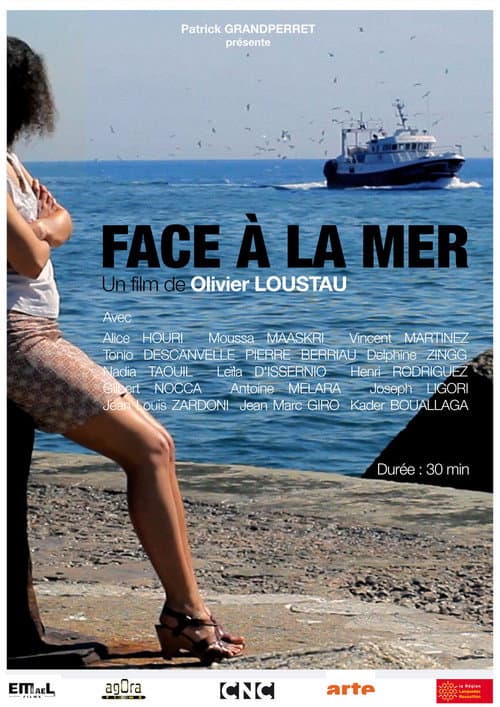 Face à la mer (2013) poster