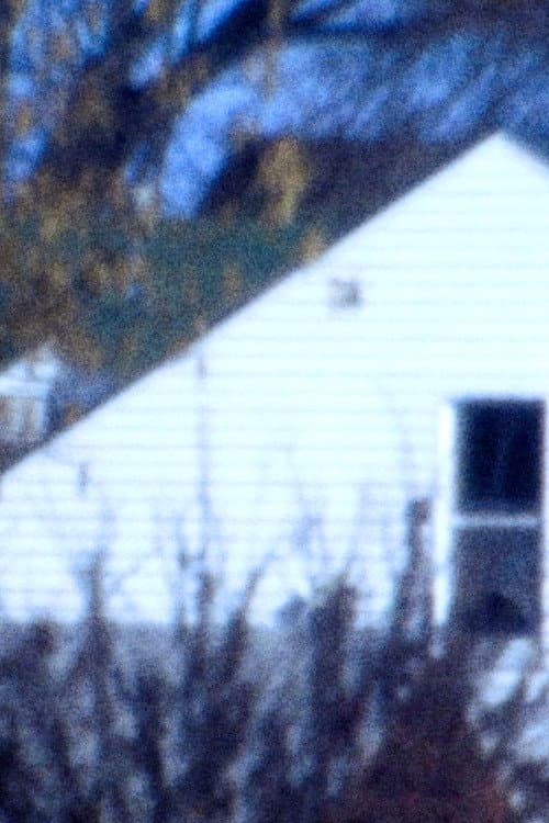 Winter Wept (2022) poster
