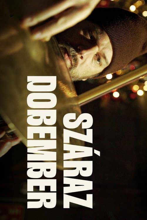Száraz dobember (2024) poster