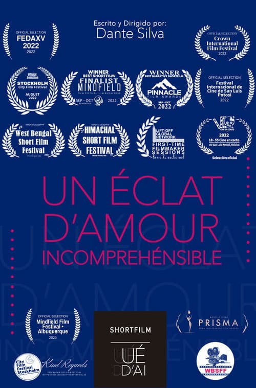 Un Eclat d´Amour Incompréhensible (2022) poster