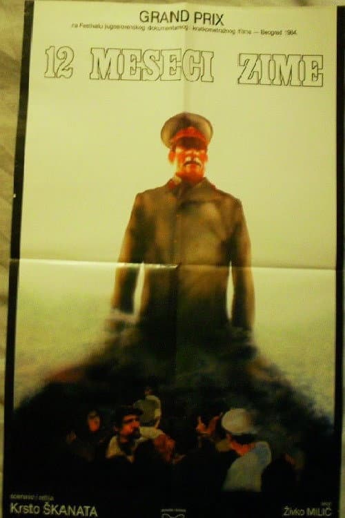 12 meseci zime (1983) poster