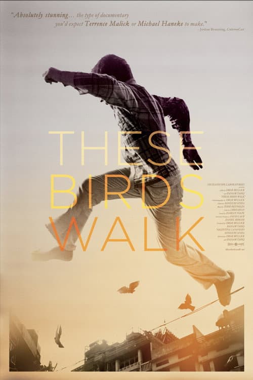 These Birds Walk (2012) poster