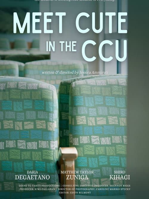 Meet Cute In the CCU (2026) poster