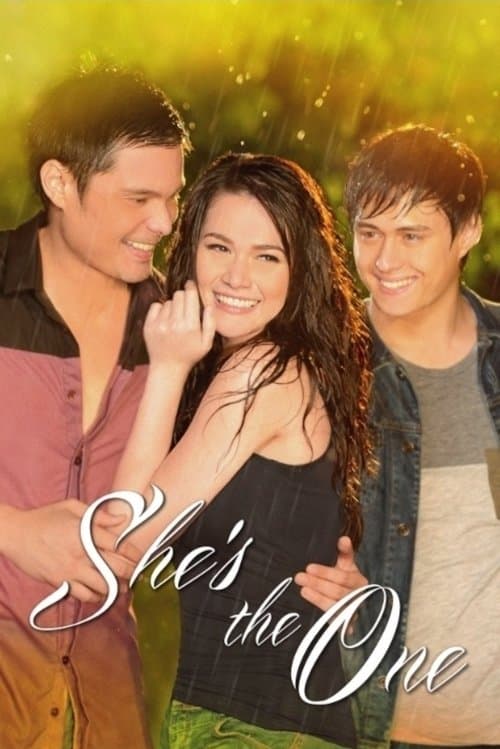 She's the One (2013) poster
