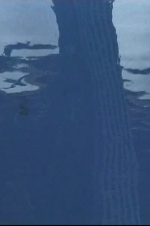 Le Cri (2001) poster