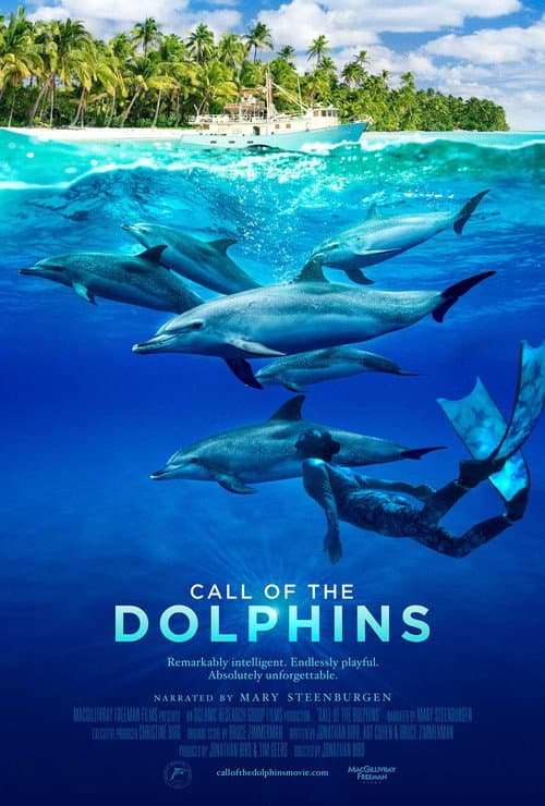 Call of the Dolphins (2025) poster